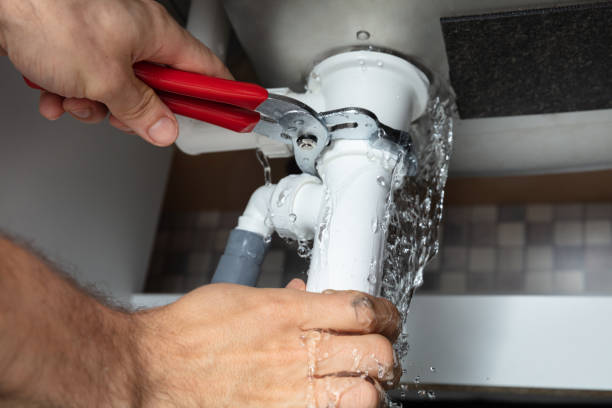Best Flood damage cleanup  in Franklin, NC