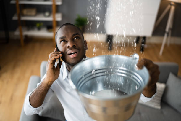 Best Commercial water damage restoration  in Franklin, NC