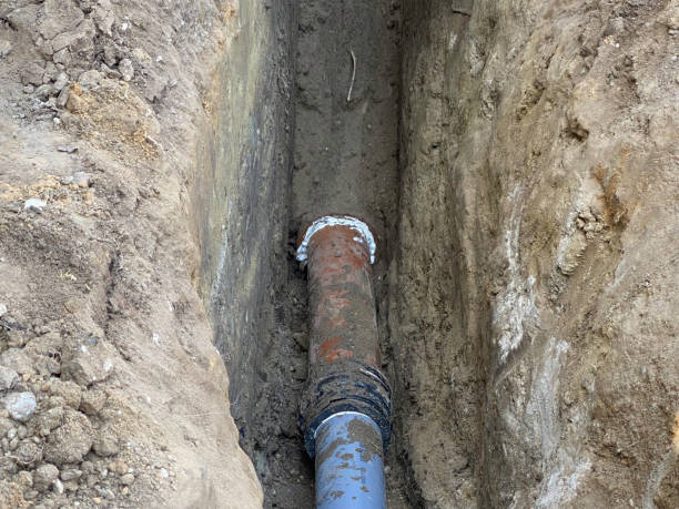 Best Flood damage cleanup  in Franklin, NC