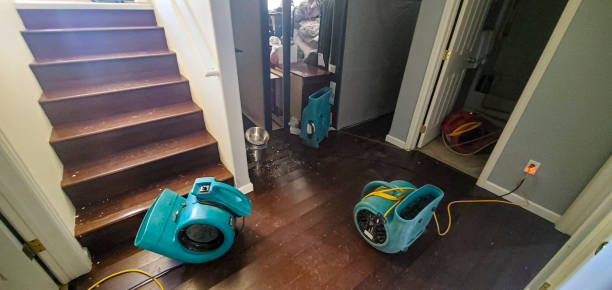 Best Water damage mitigation services  in Franklin, NC