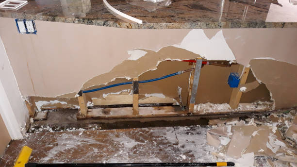 Best Water damage cleanup near me  in Franklin, NC