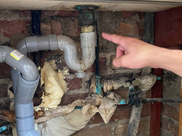 Best Basement water damage restoration  in Franklin, NC