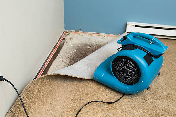 Best Fire Damage Restoration  in Franklin, NC